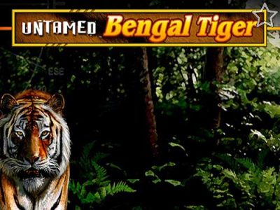 Untamed Bengal Tiger