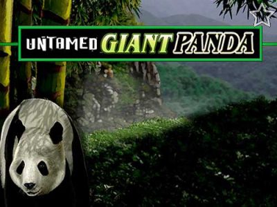 Untamed Giant Panda