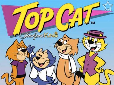 Top Cat