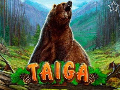 Taiga