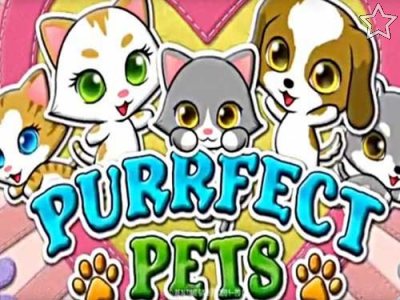 Purrfect Pets