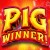 Pig Winner