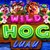 Wild Hog Luau